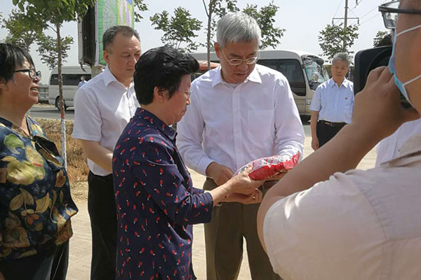 2020年6月4日时任河南省省长尹弘莅临滑丰种业小麦繁种基地视察指导